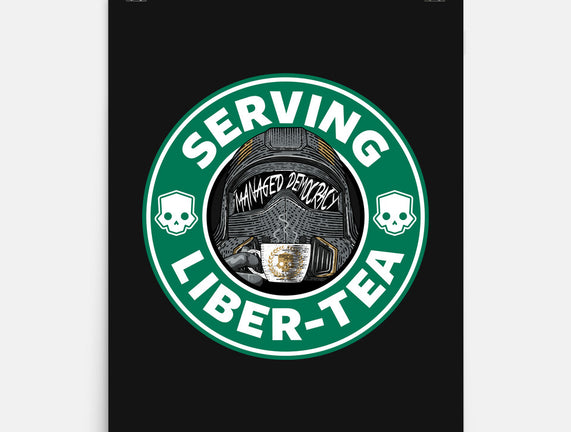 Serving Democracy
