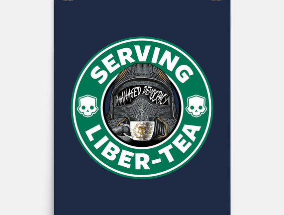 Serving Democracy