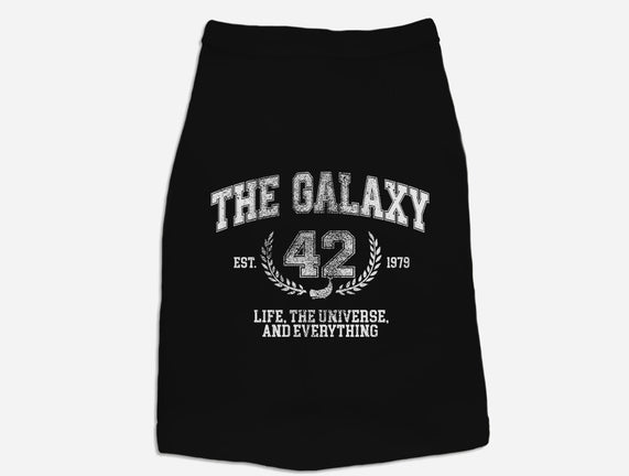 The Galaxy