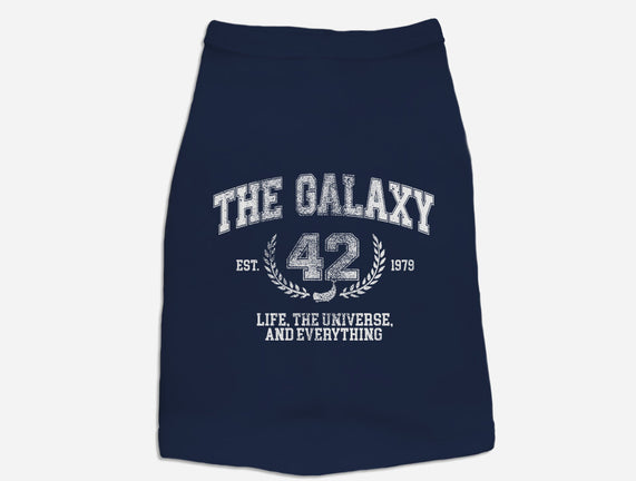 The Galaxy