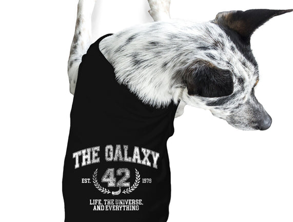 The Galaxy