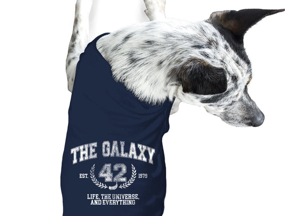 The Galaxy