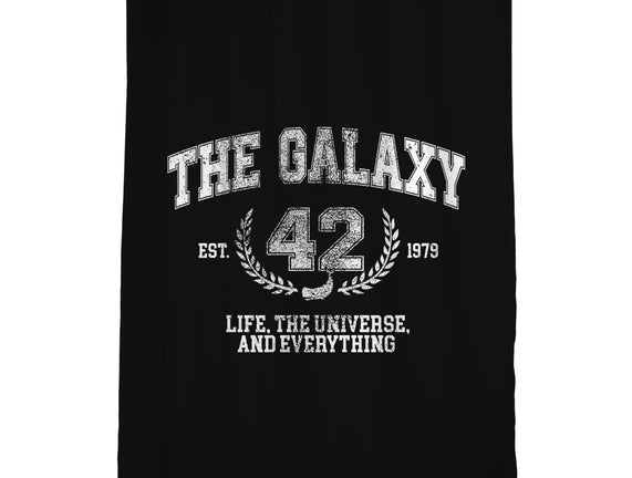 The Galaxy
