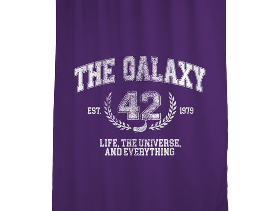 The Galaxy