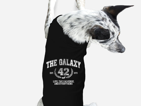The Galaxy