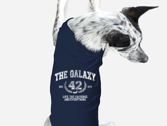 The Galaxy