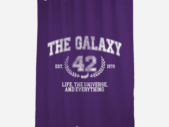 The Galaxy