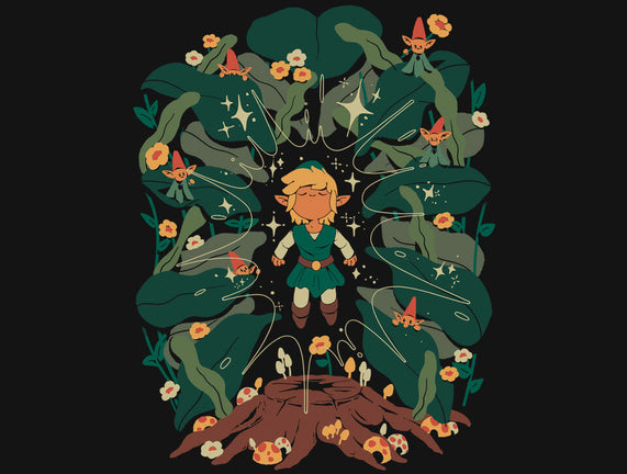 Minish Boy And Gnomes