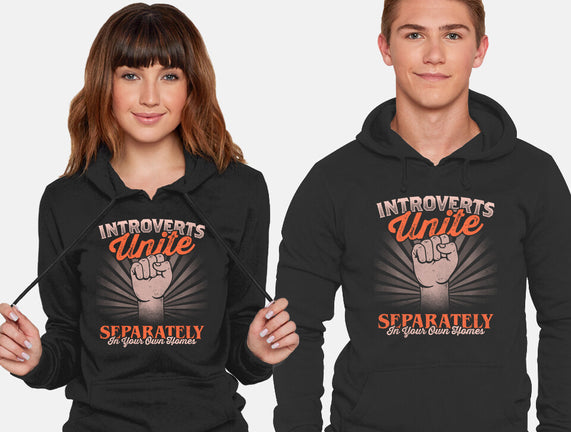 Introverts Unite Separately