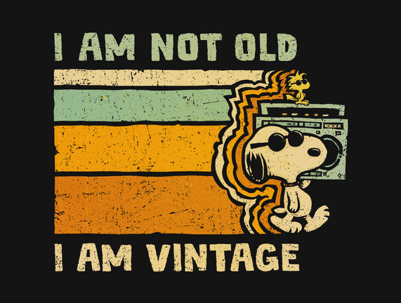 Vintage Vibes