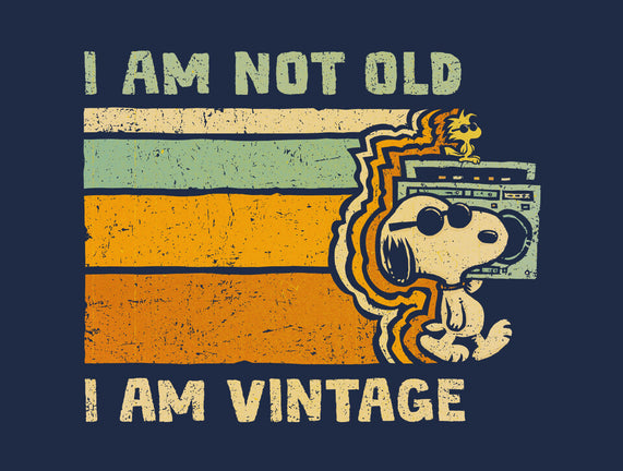 Vintage Vibes
