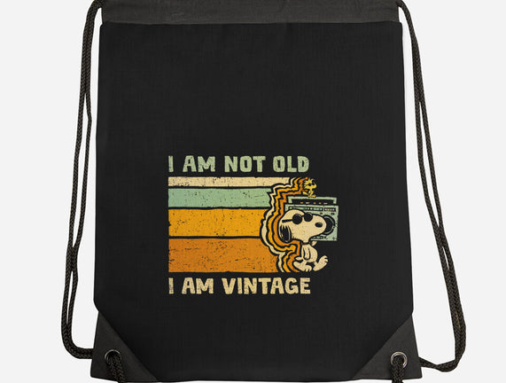 Vintage Vibes