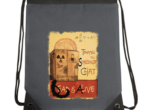 Tournee Du Schrodinger Chat