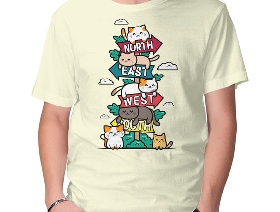 Travel Arrow Cats