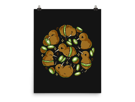 Kiwi Birds