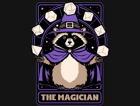 Raccoon RPG Wizard