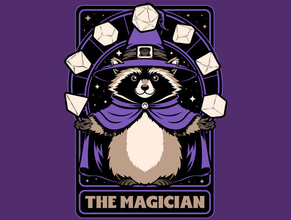 Raccoon RPG Wizard