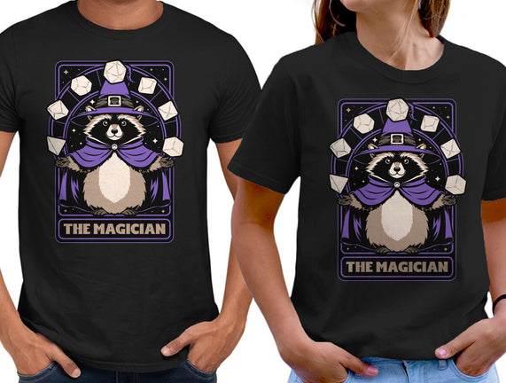 Raccoon RPG Wizard