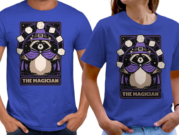 Raccoon RPG Wizard