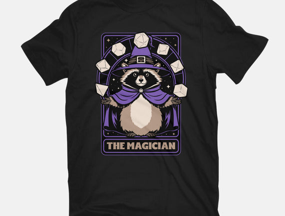 Raccoon RPG Wizard