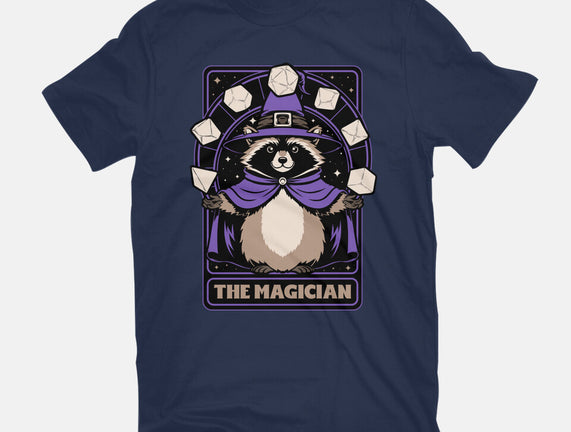 Raccoon RPG Wizard