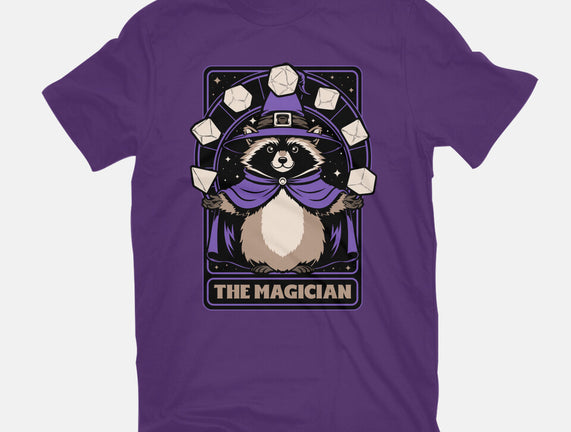 Raccoon RPG Wizard