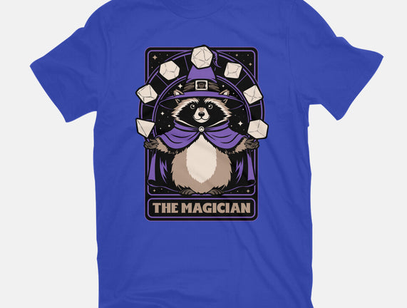 Raccoon RPG Wizard