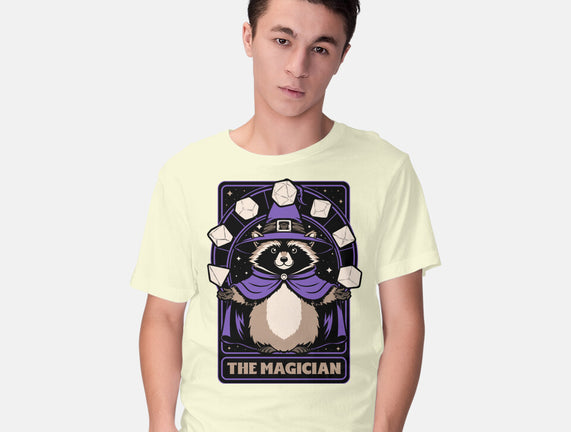 Raccoon RPG Wizard