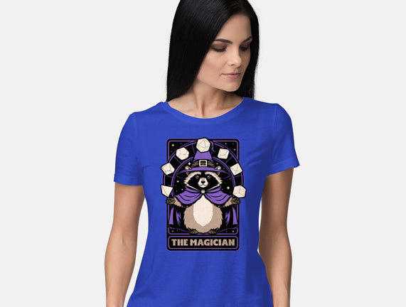 Raccoon RPG Wizard