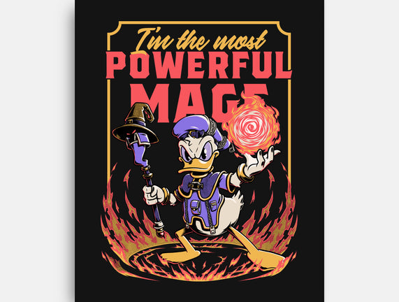 Powerful Duck Mage