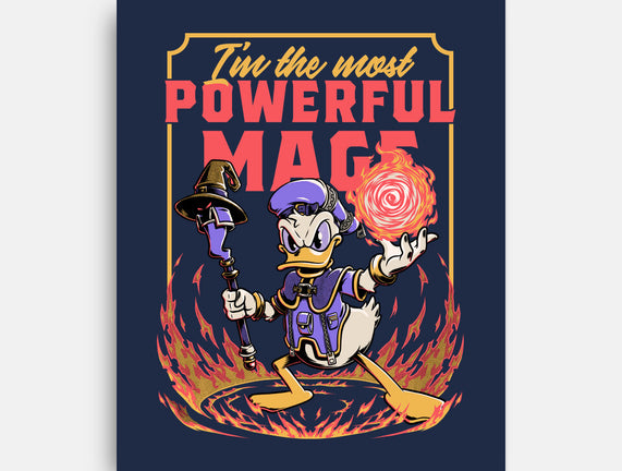 Powerful Duck Mage