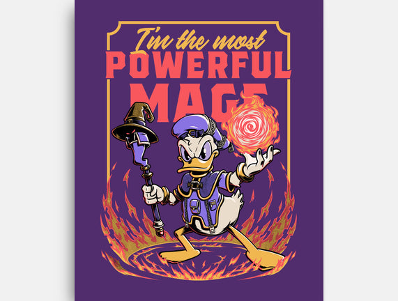 Powerful Duck Mage