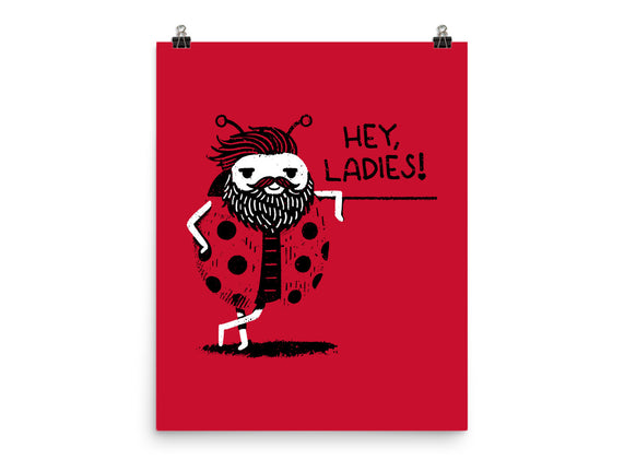 Ladybug Lover