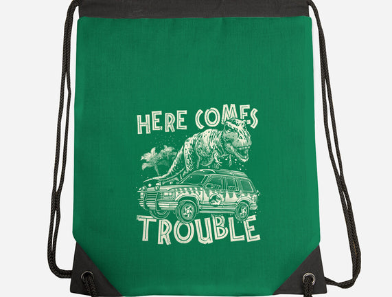 Here Comes Trouble