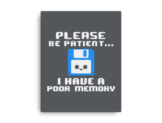 Floppy Poor Memory