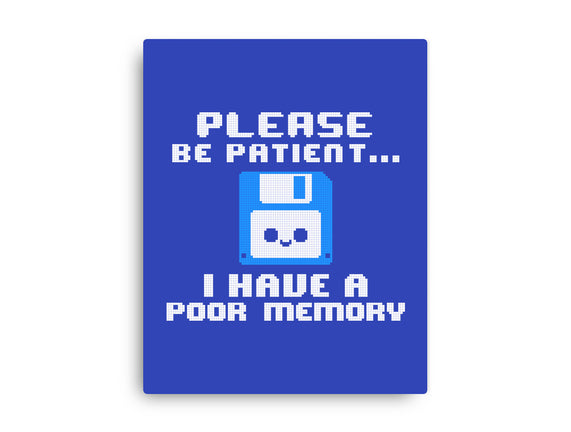 Floppy Poor Memory