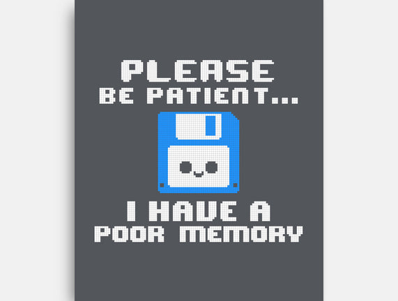 Floppy Poor Memory