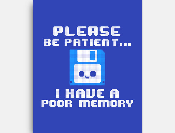 Floppy Poor Memory