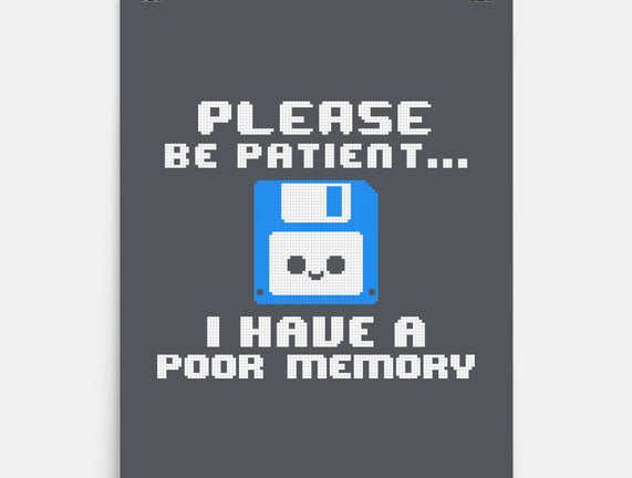Floppy Poor Memory