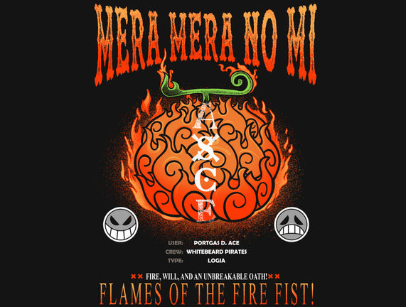 Mera Mera No Mi Devil Fruit