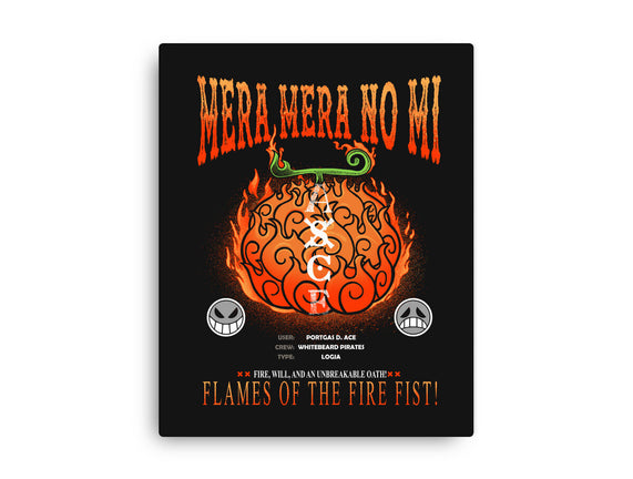Mera Mera No Mi Devil Fruit