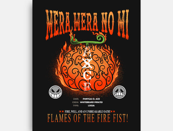 Mera Mera No Mi Devil Fruit