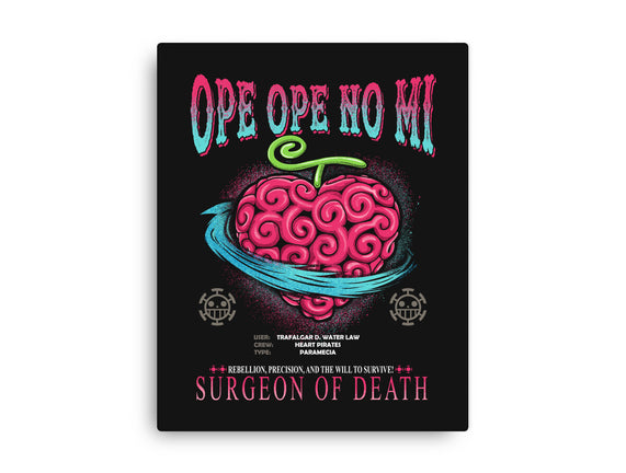 Ope Ope No Mi Devil Fruit