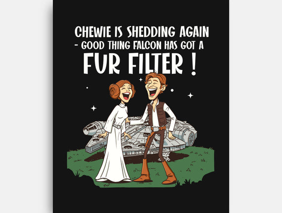 Fur Filter