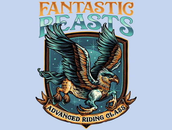 Advanced Riding Class