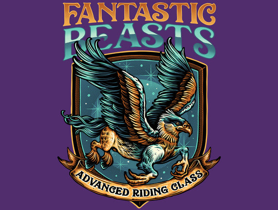 Advanced Riding Class