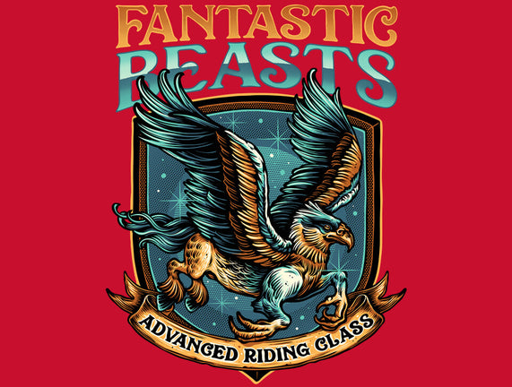 Advanced Riding Class