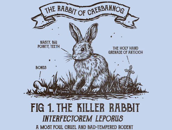 The Rabbit Of Caerbannog
