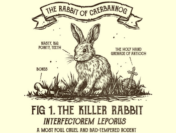 The Rabbit Of Caerbannog