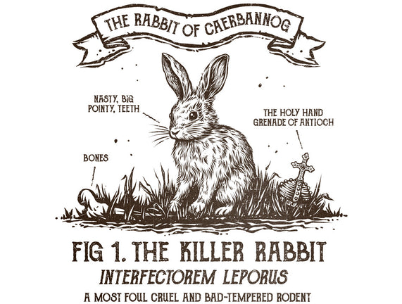 The Rabbit Of Caerbannog
